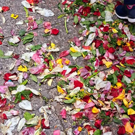 Gio Geremeas Fronte Mare בית נופש