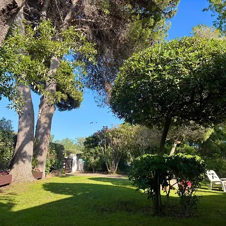 別荘 Gio Geremeas Fronte Mare