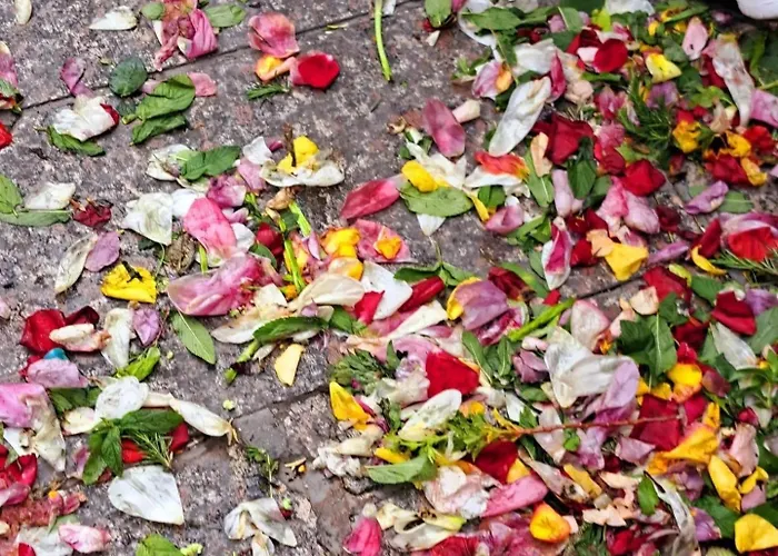 Gio Geremeas Fronte Mare Дом отдыха